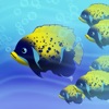 Reef.IO - iPadアプリ