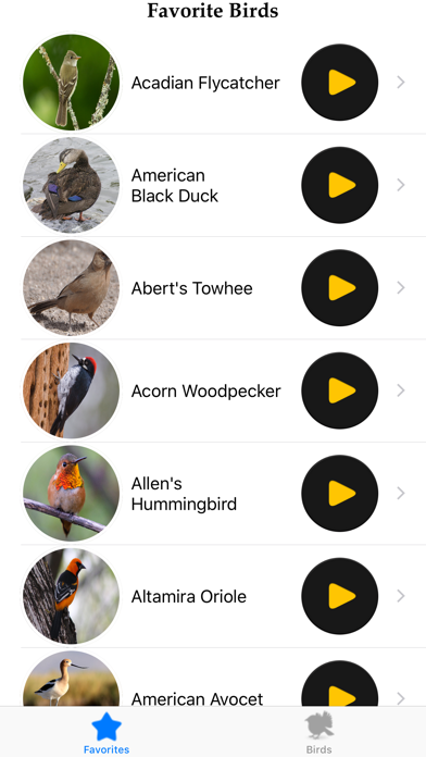 Birds of North America Screenshot