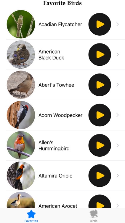 Birds of North America screenshot-6