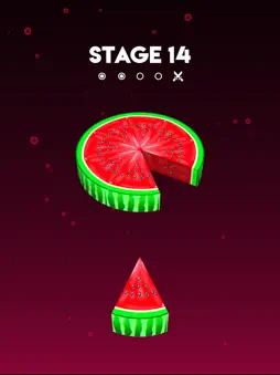 Slice Hit screenshot 4