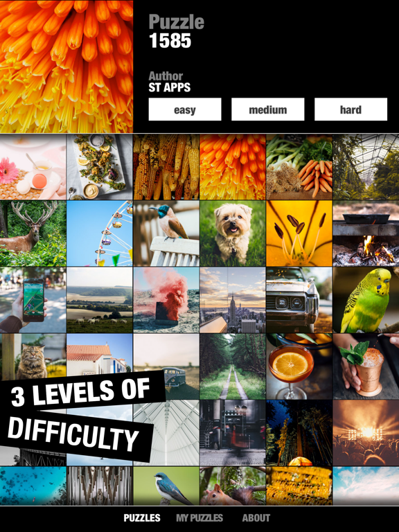 Screenshot #6 pour Jigsaw Puzzles ST
