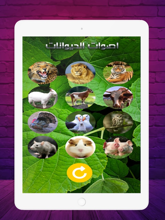 Screenshot #4 pour 2020 اصوات الحيوانات