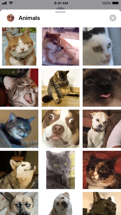 Screenshot #3 pour Broken Animals