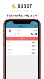 budgt - daily finance iphone screenshot 3