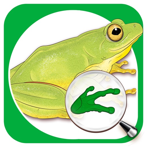 Sasol Young Explorer Frogs icon