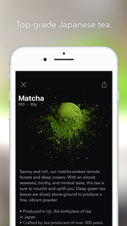 Matcha | Japanese Green Tea