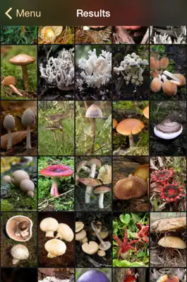 Game screenshot iFungi AU - Mushrooms ID hack
