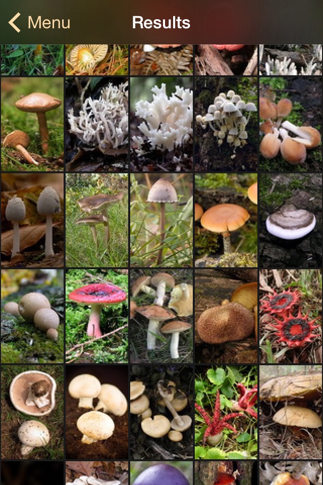 iFungi AU - Mushrooms ID screenshot 3