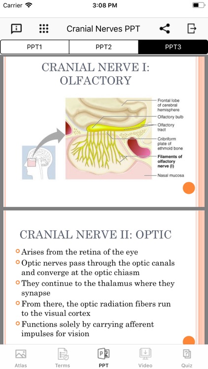 Cranial Nerves Plus screenshot-7
