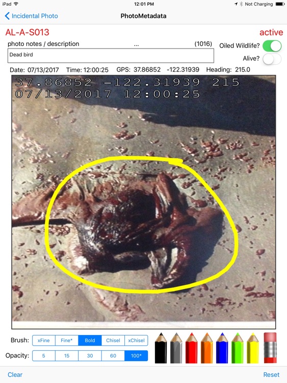 SCATalogue screenshot-3