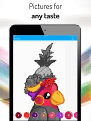 color by number pro ipad resimleri 4