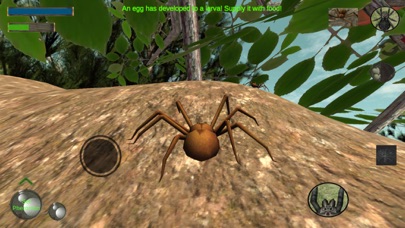 Spider Colony Simulator screenshot 2