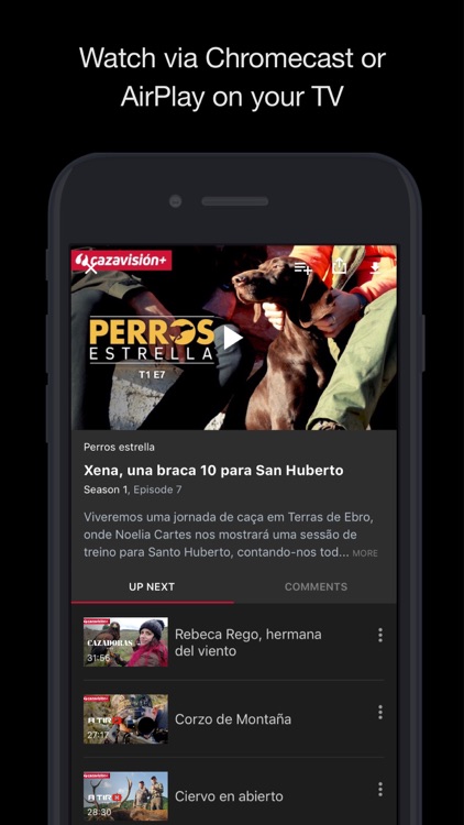 Cazavisión+ screenshot-4