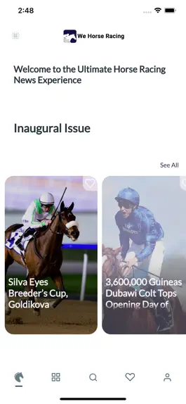 Game screenshot We Horse Racing mod apk
