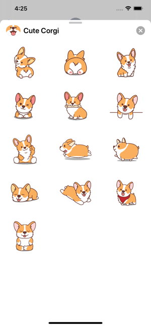 Cute Welsh Corgi(圖2)-速報App
