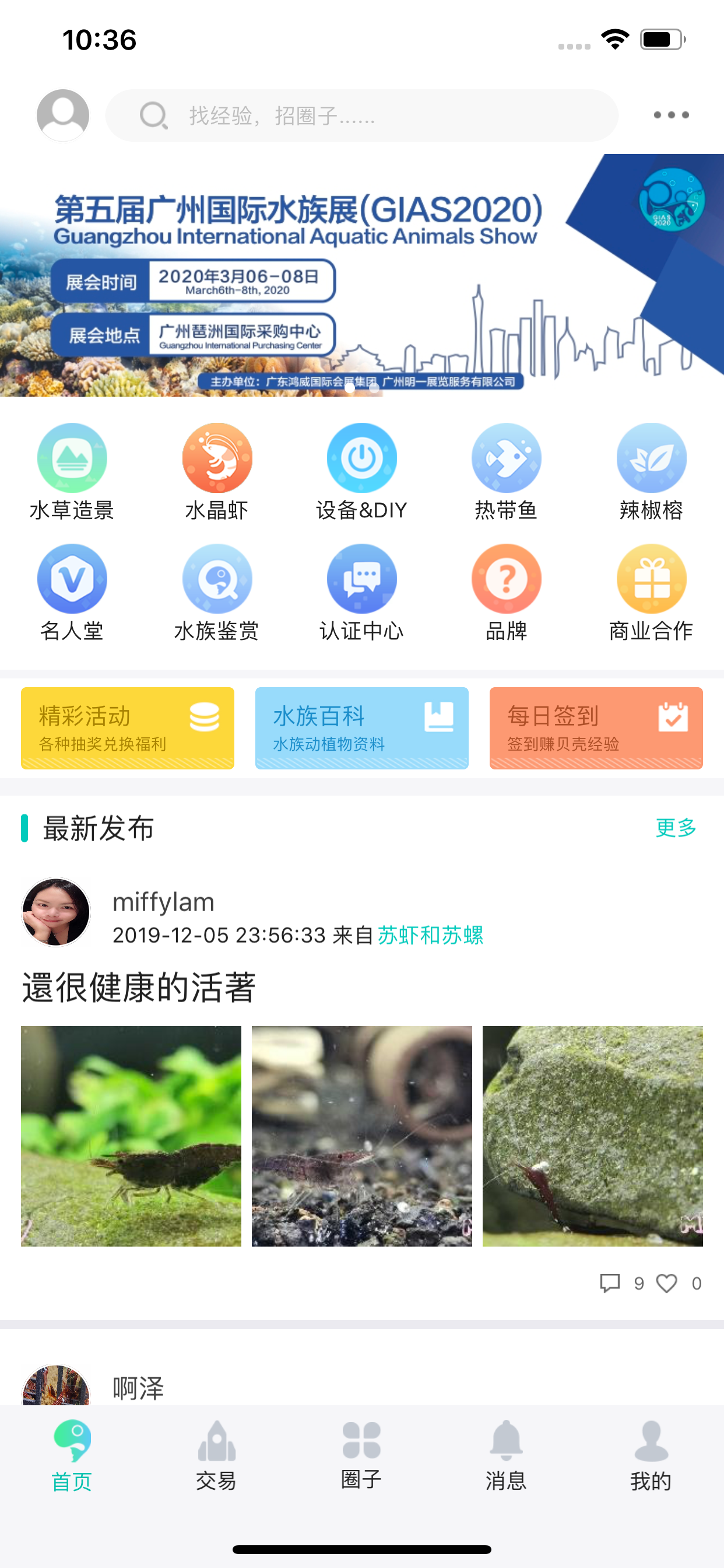 泡泡水族