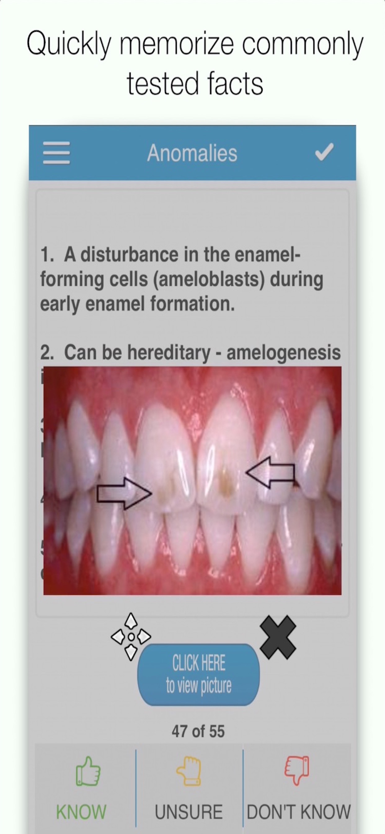Dental Anatomy Cram Cards