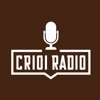 CR101 Radio