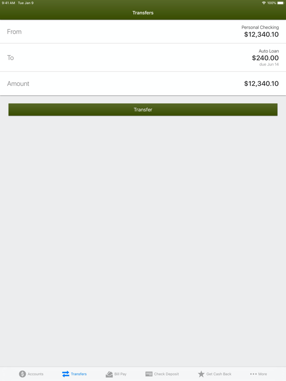 The Southern Credit Union iPad screenshot 4 - Finance app