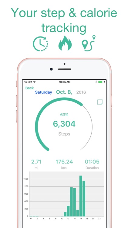 Step Counter Maipo - Pedometer