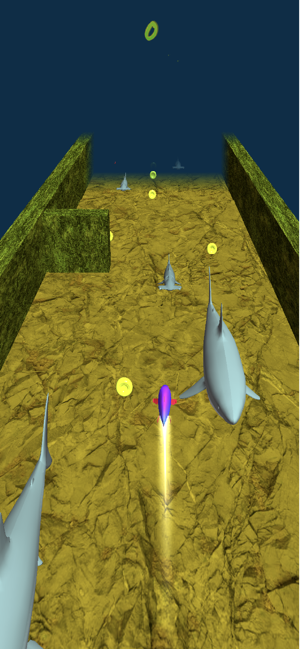 Oceanic Dash(圖4)-速報App