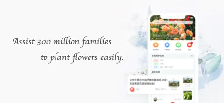 Dancing Flowers