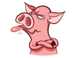 Naughty Pig is a funny and cute sticker pack that will bring happiness and good mood to you and your friends