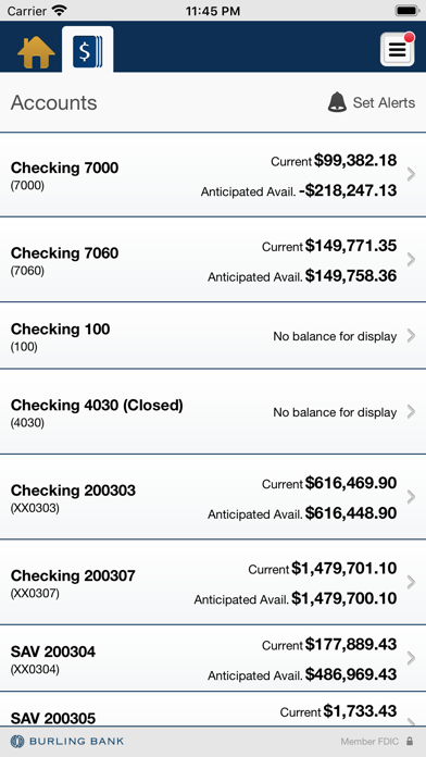 Burling Bank Business Screenshot