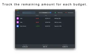 budget planner tracker-бюджет айфон картинки 4