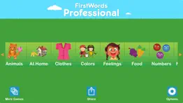 first words professional problems & solutions and troubleshooting guide - 1
