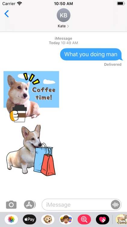 Fluffy cute Corgi Stickers