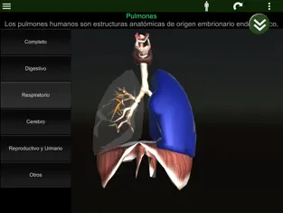 Screenshot 3 Órganos 3D (anatomía) iphone