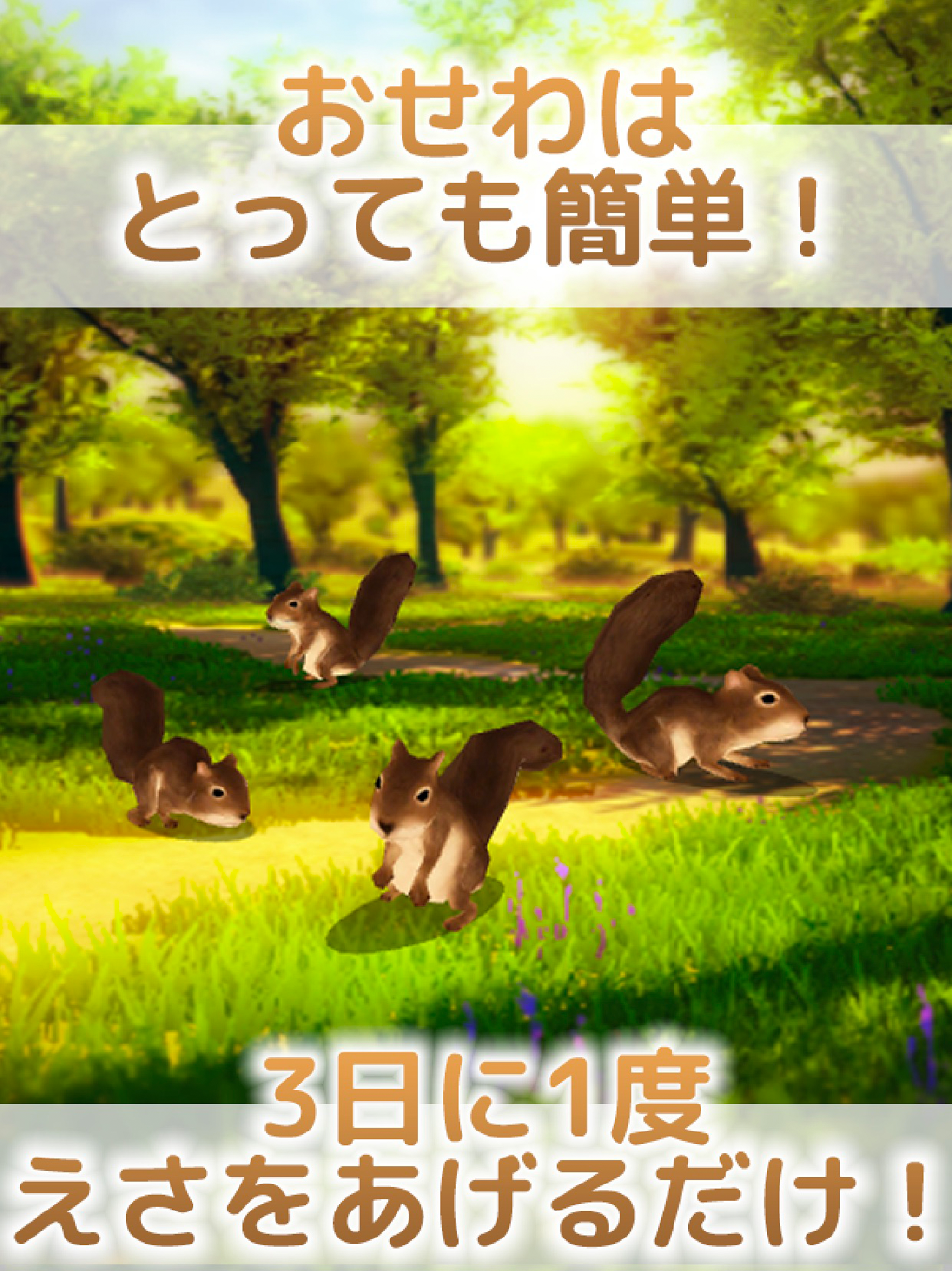 Squirrel Healing Life