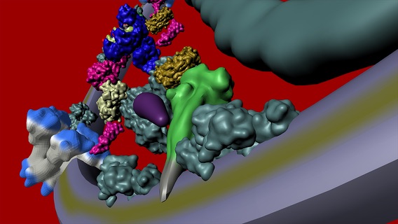 Bio Virus Structure in 3Dのおすすめ画像3