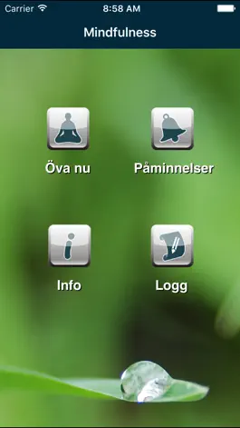 Game screenshot Dagliga droppar mindfulness mod apk