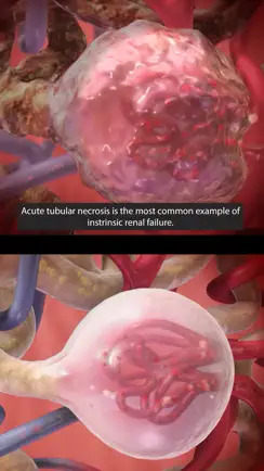 Physiology & Pathology iPhone image 3
