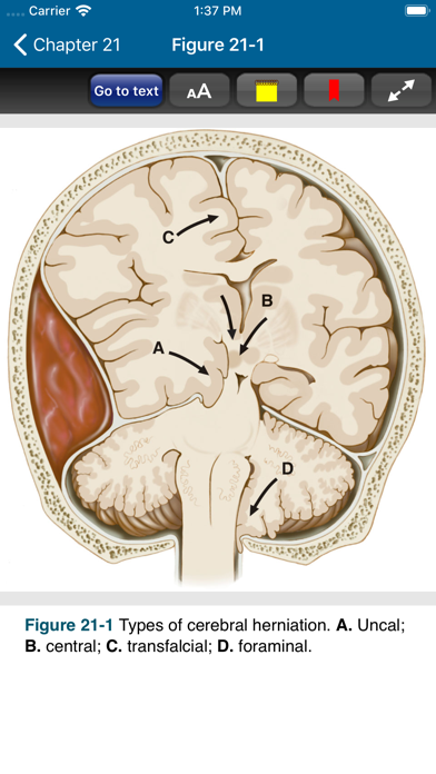 Harrison’s Manual of Med. 20/E Screenshot