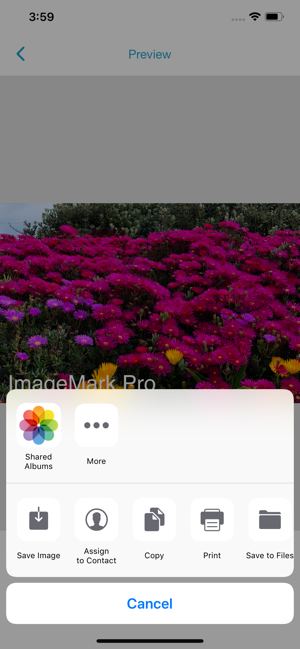 Image Mark Pro 4.0(圖5)-速報App