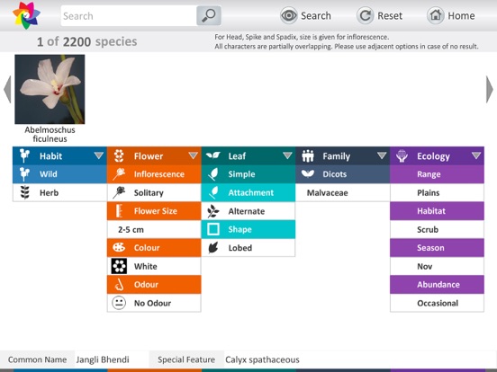 Screenshot #6 pour Flowers of Sahyadri