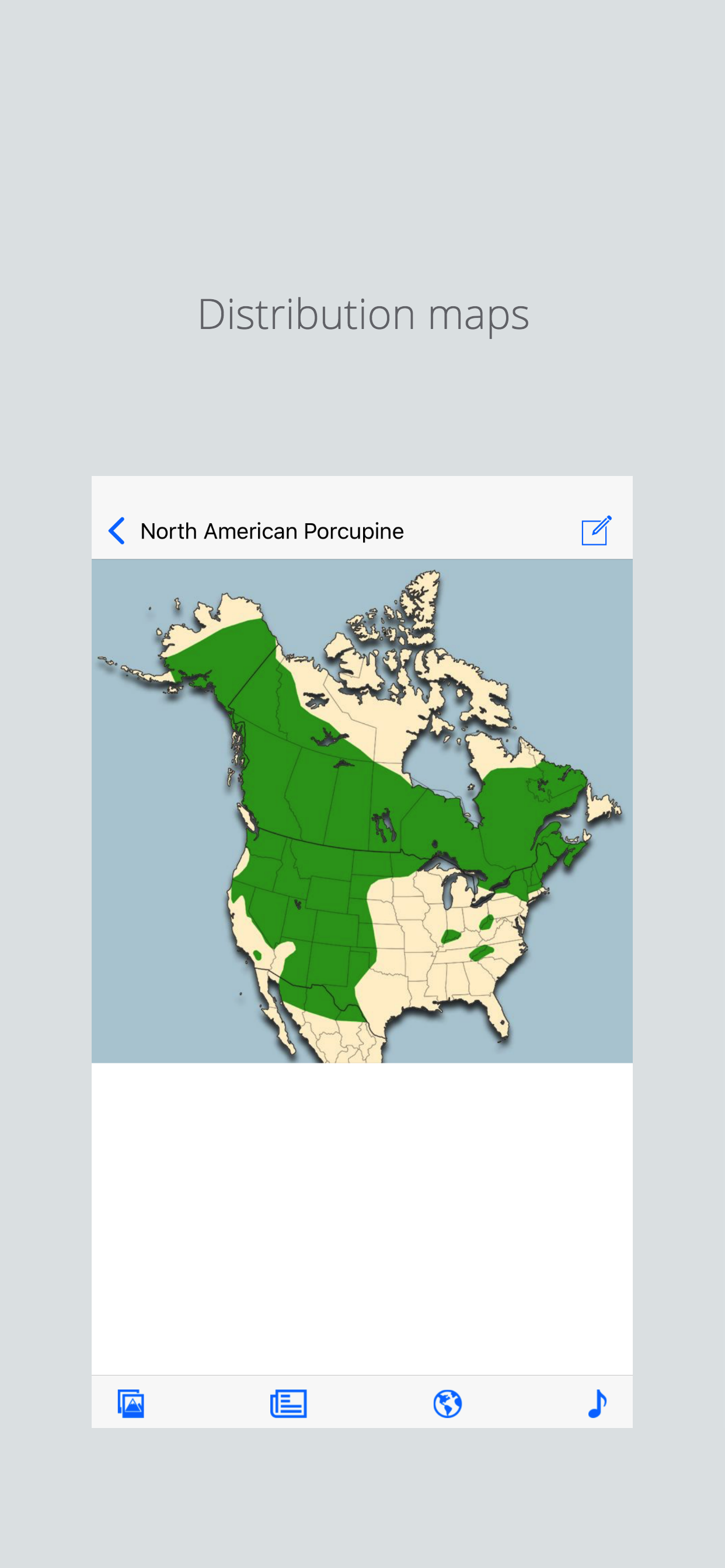 Stuarts North American Mammals