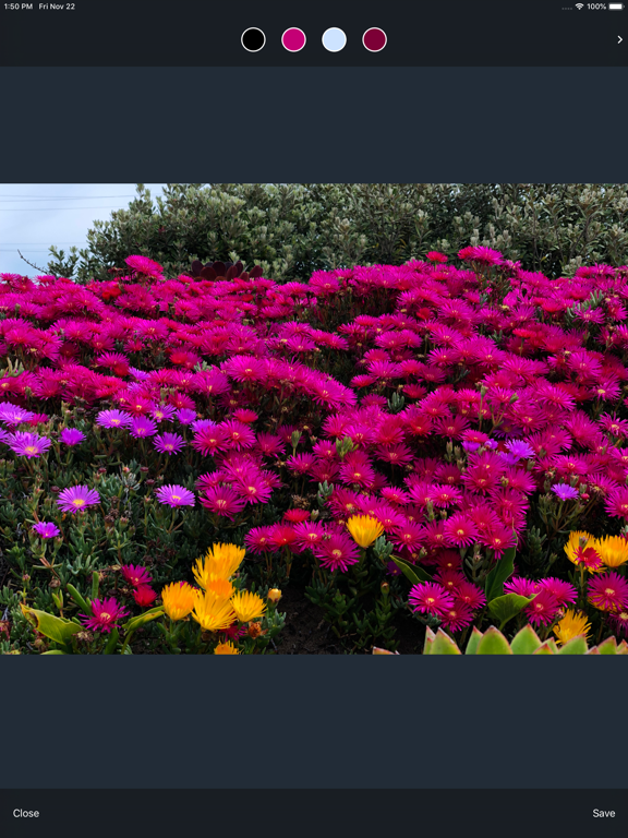 Screenshot #5 pour Color Palettes Generator