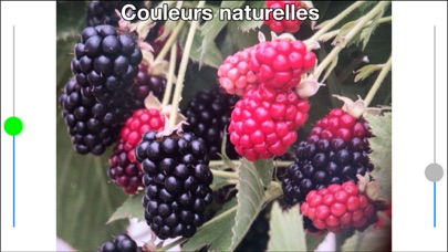 Screenshot #3 pour Aide daltonien