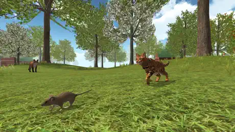 Cat Simulator 2020
