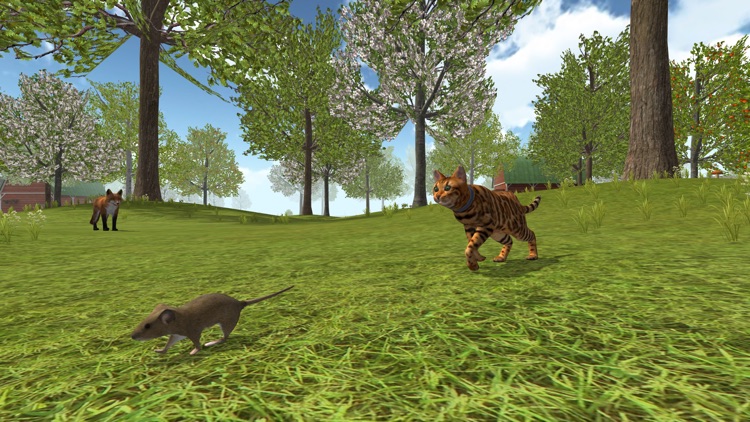 Cat Simulator 2020 screenshot-3