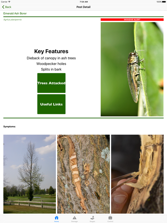 Screenshot #5 for Purdue Tree Doctor