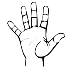 ‎ASL Basics