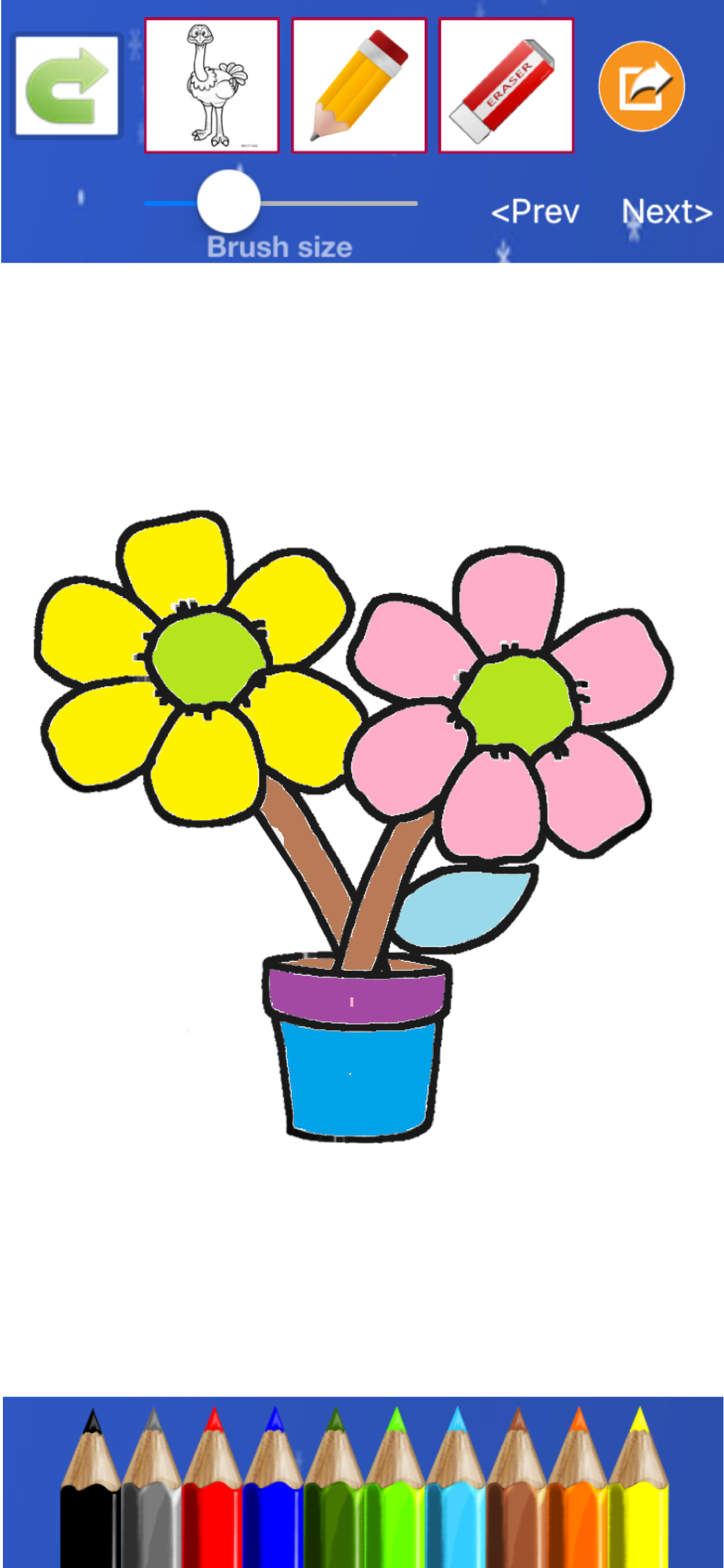Flower Coloring Drawing book