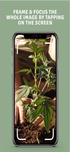 NorCal Cannabis screenshot #8 for iPhone