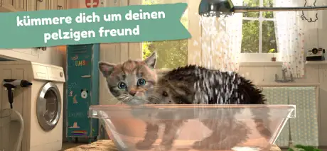 Kleines Kätzchen Unterwegs 4+