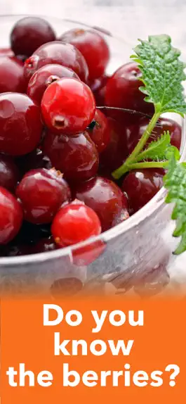 Game screenshot Fruits, Vegetables & Berries hack